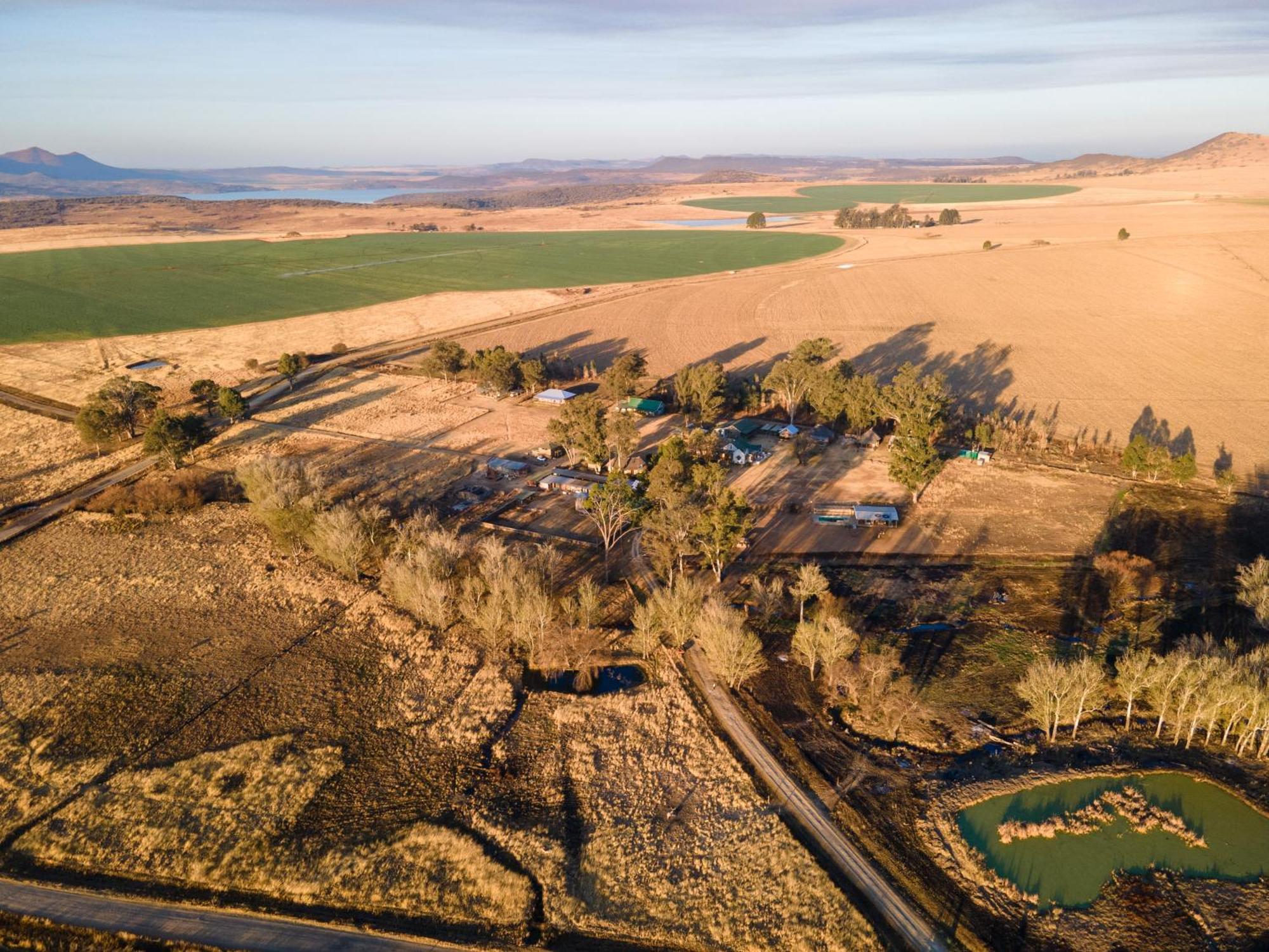 Dalmore Guest Farm Bergville Dış mekan fotoğraf